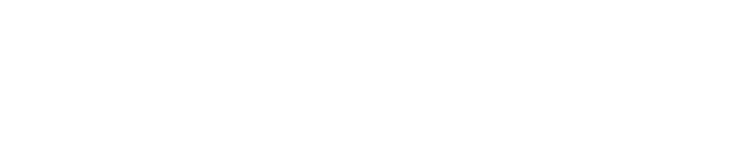 The Foundation For Rock Hill School Text Logo - White